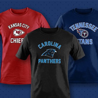 Team Fan Apparel  NFL Adult Gameday T-shirt