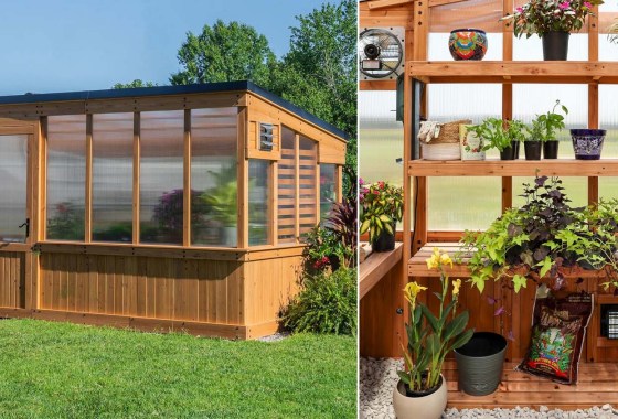 Amazon has greenhouse kits from budget to luxury
