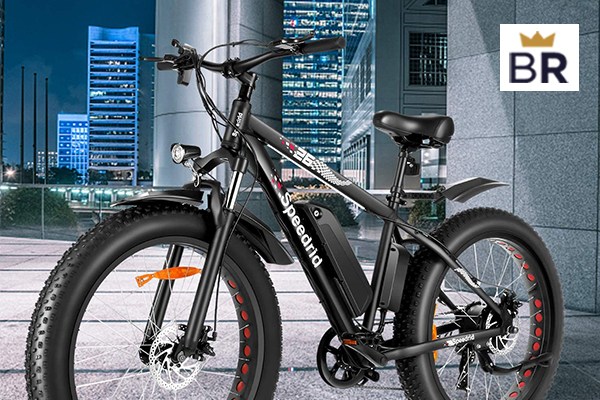 affordable electric bikes