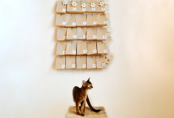 Best cat Advent calendar