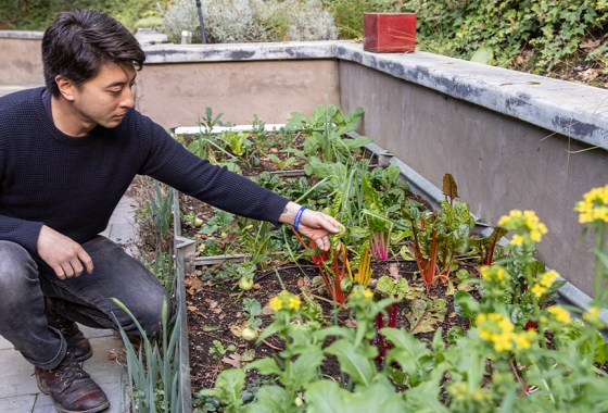 Best spring lawn care and gardening tools for the season