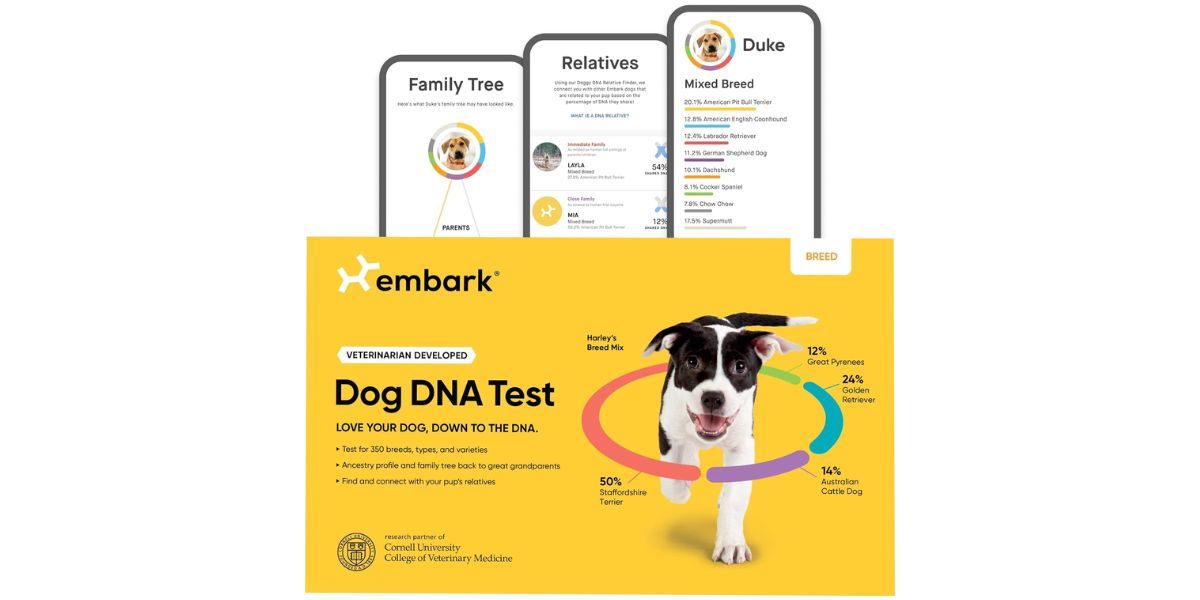 Embark Breed Identification Kit Embark Breed Identification Kit