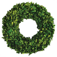 Birch Lane Alby Preserved Boxwood Wreath