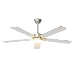 Hisummer Modern Ceiling Fan