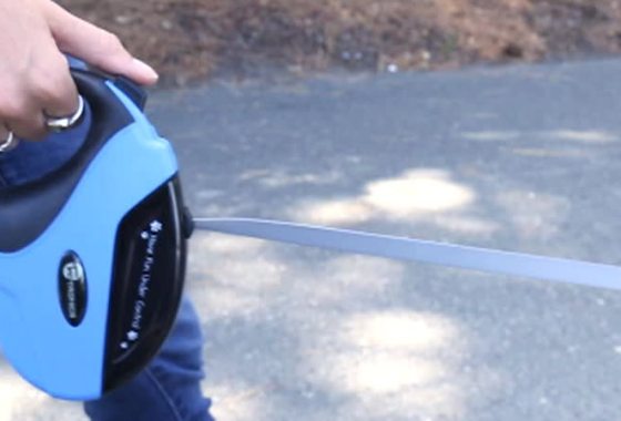 Best Retractable Dog Leashes
