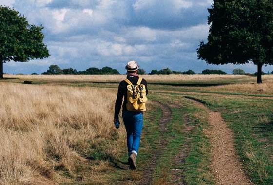 Best Men's Asolo Boots