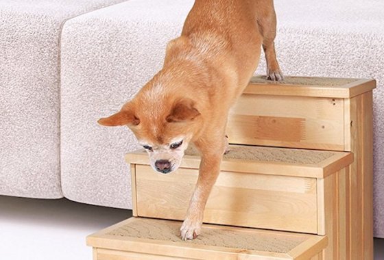 Best Pet Stairs