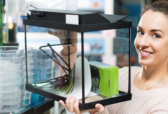 Best Aquarium Heaters