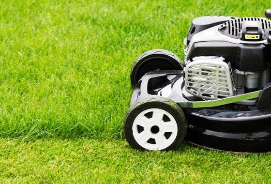 Best Lawn Mower Tires