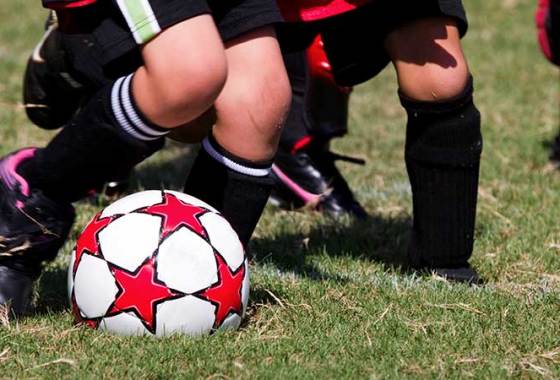 Best Youth Shin Guards