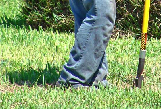 Best Post Hole Diggers