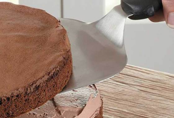 Best Cake Lifters