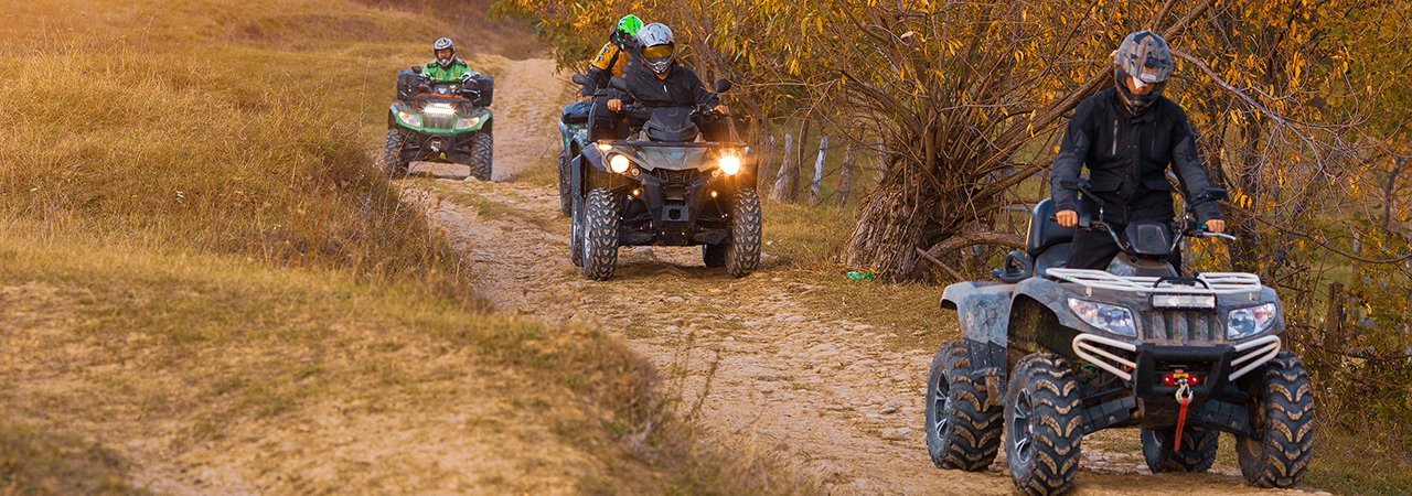 5 Best ATV Winches - Dec. 2020 - BestReviews