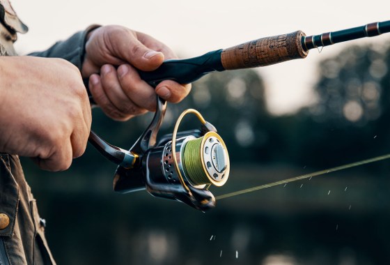 Best Fishing Reels
