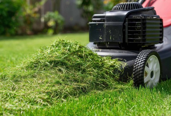 Best Honda Lawn Mowers