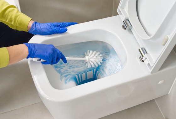 Best Toilet Bowl Cleaners