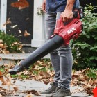 Leaf blowers are up to 60% off this week for fall clean up