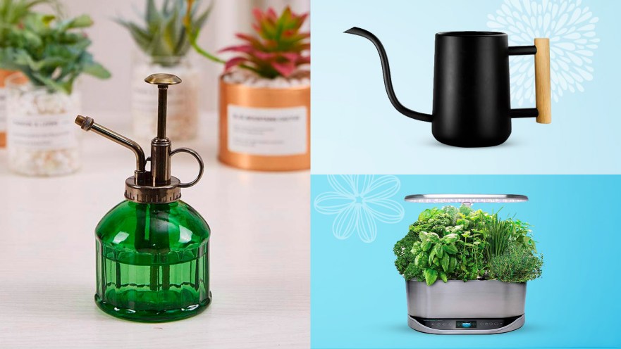 Best Mother’s Day gifts for plant lovers