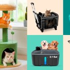 Pet products rule Walmart’s Flash Deals this week