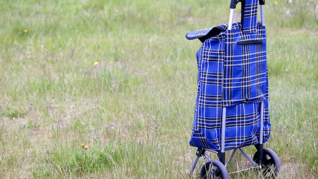 5 Best Shopping Carts Oct. 2020 BestReviews