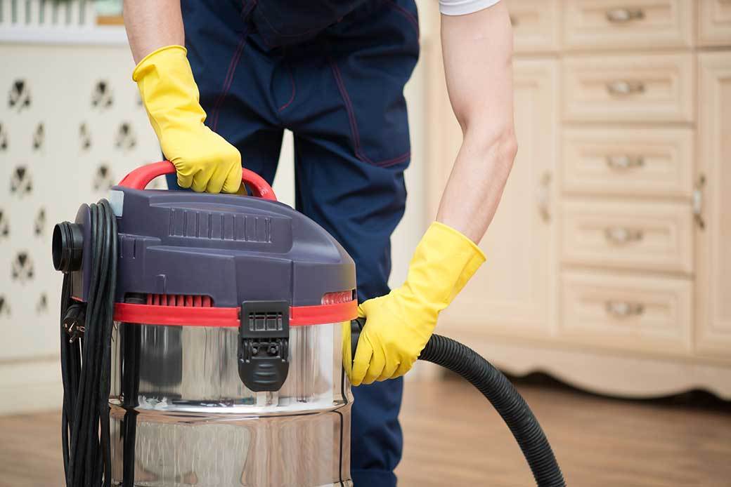 5 Best Ash Vacuums May 2024 BestReviews