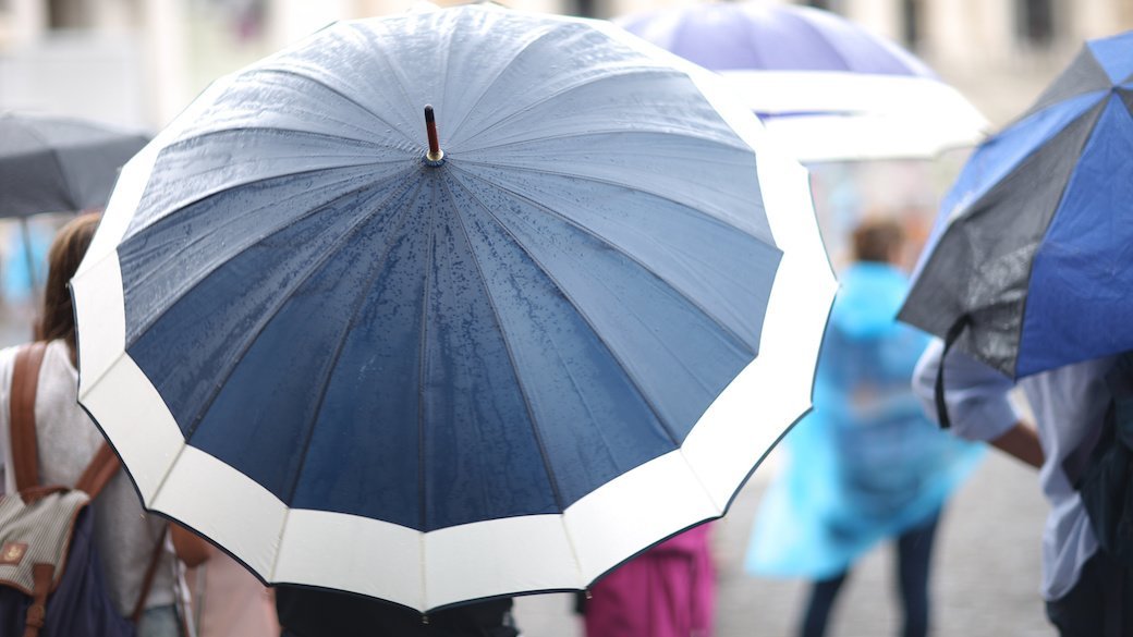 5 Best Storm Umbrellas July 2020 BestReviews