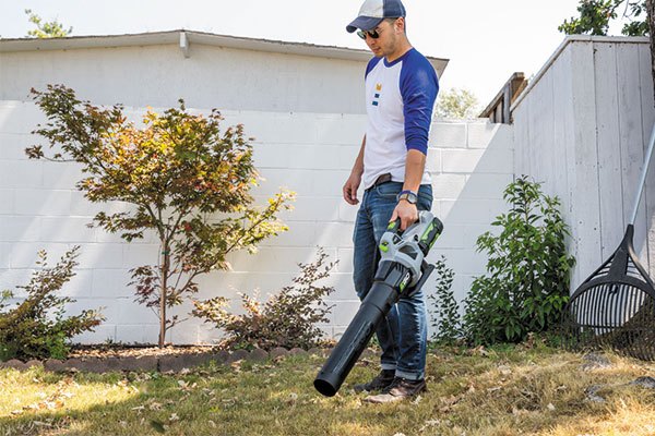 5 Best BLACK+DECKER Leaf Blowers - Jan. 2024 - BestReviews