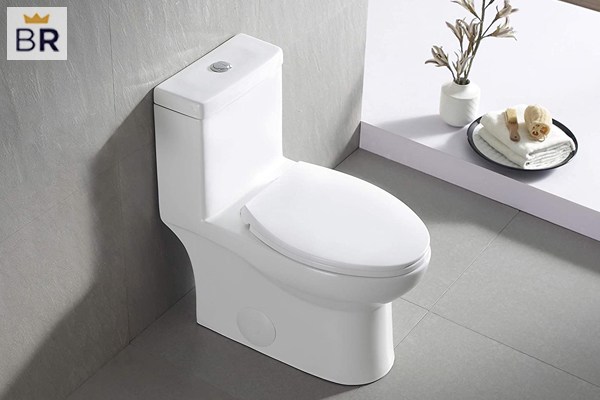 Best rated deals toilets