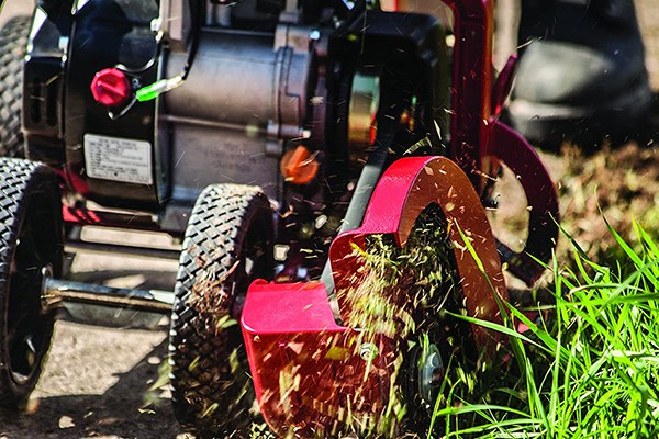 Gas powered store lawn edger