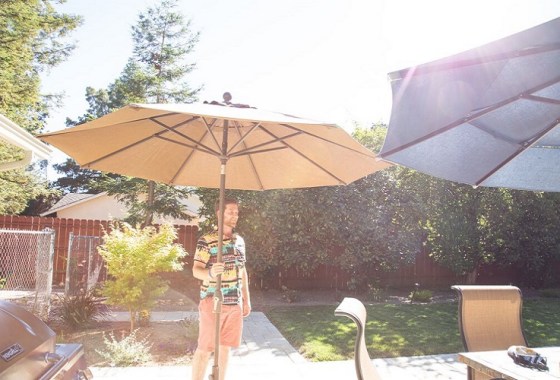 How to add more shade to your backyard
