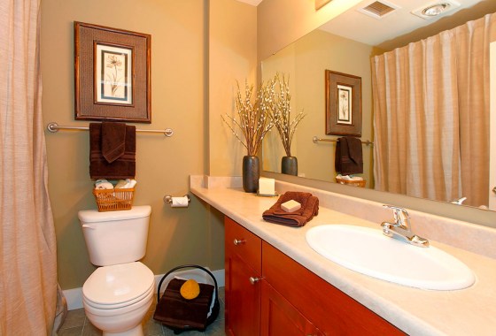 The best art to transform your bathroom