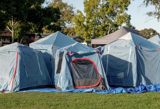 Best 6-person tent