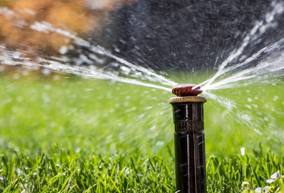 Best motion-activated sprinklers