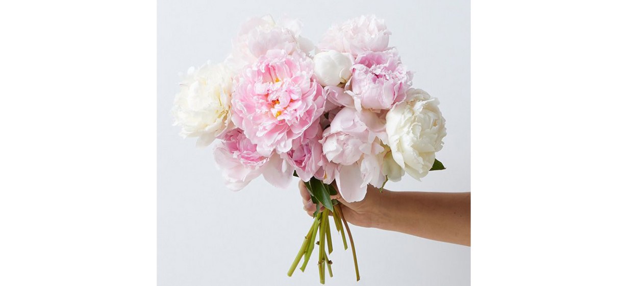 Farmer's Choice Peonies