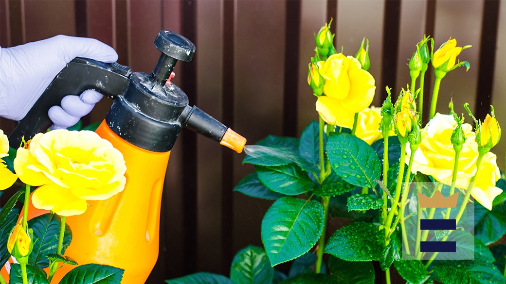 Which chemical sprayer is best for gardens?