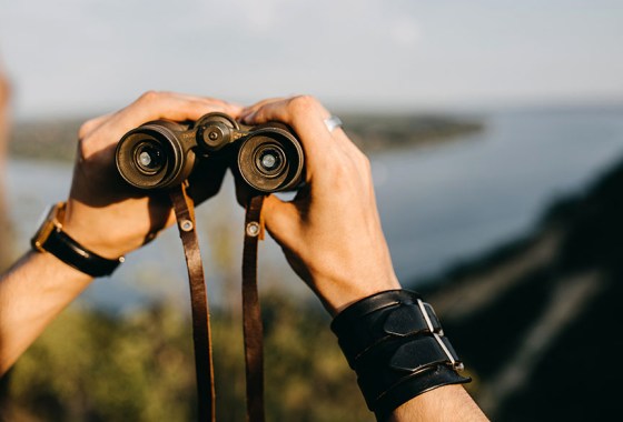 Best binoculars to bring leaf peeping