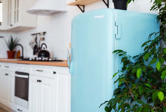 Best retro refrigerator