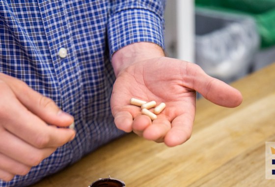 Best Align probiotic