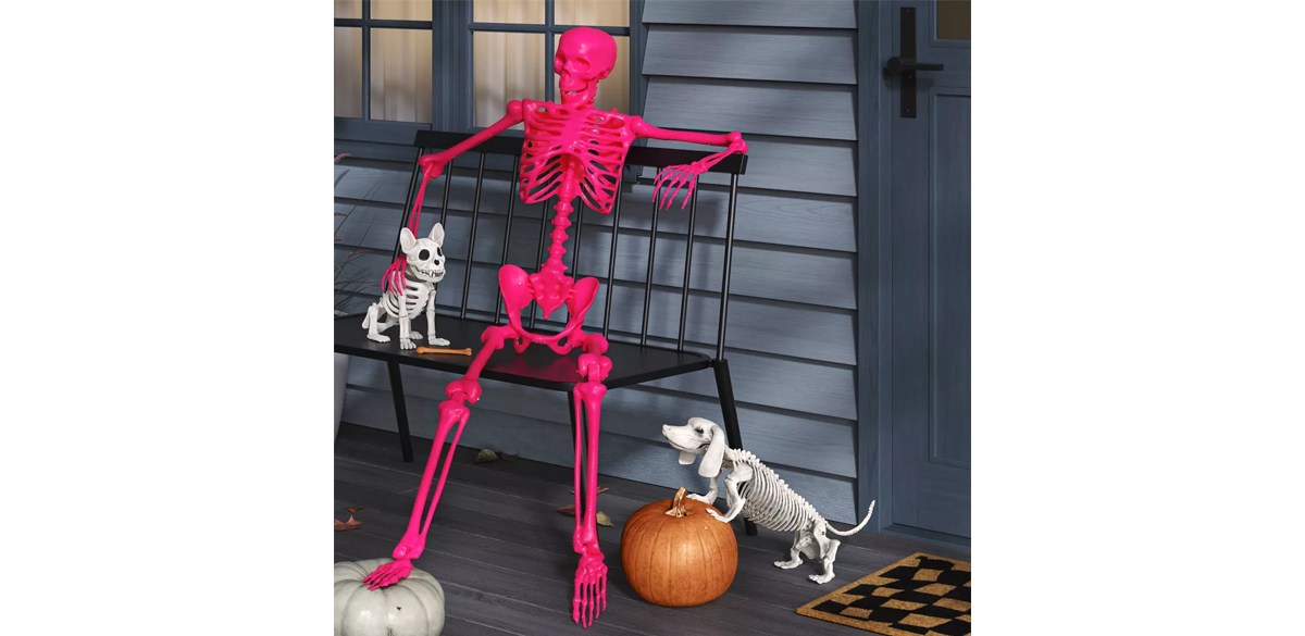 Skeleton Halloween Decorative Prop Pink - Hyde &amp; EEK