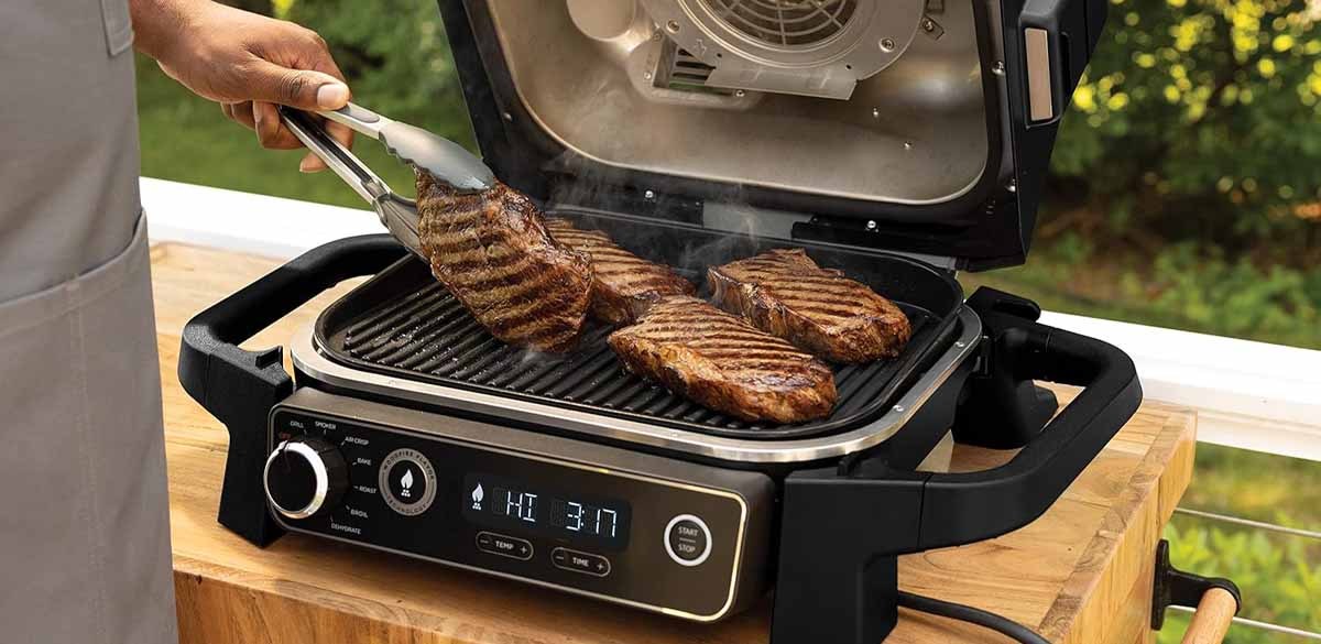 Ninja Woodfire Series 7-in-1