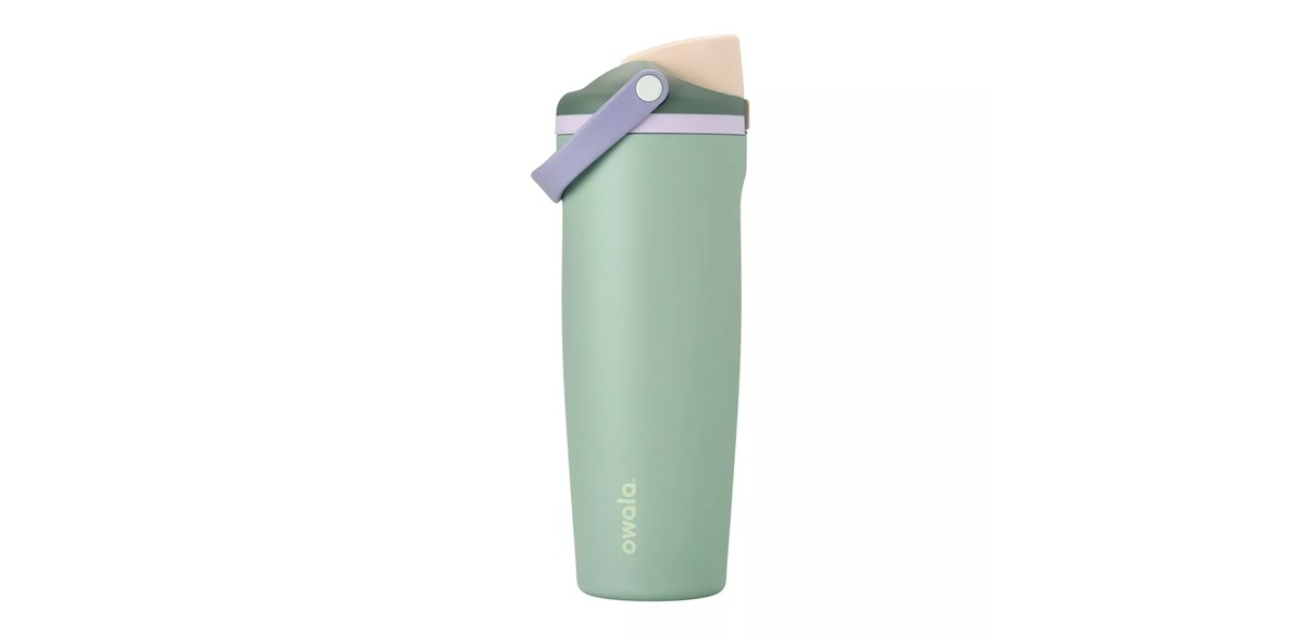 Owala 30oz FreeSip Sway Stainless Steel Water Bottle-Misty Meadow