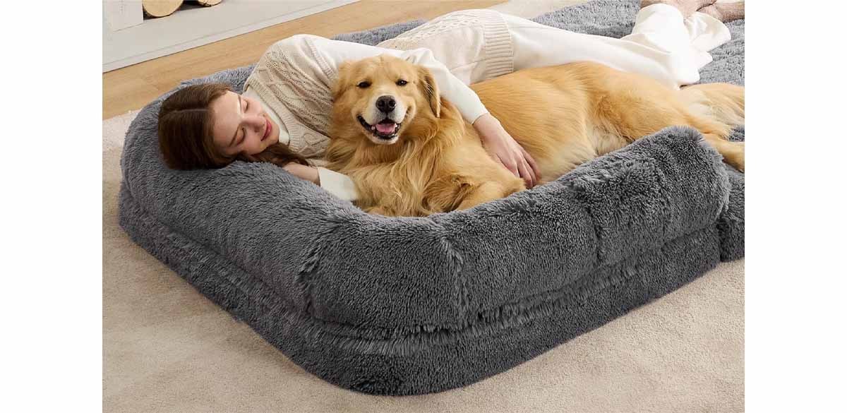 Bedsure Foldable Human Dog Bed, Dark Gray