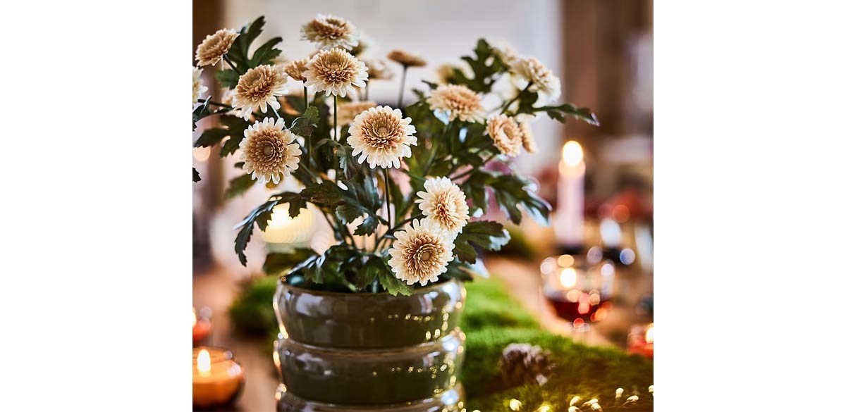 Fejka Artificial potted plant, indoor_outdoor_Chrysanthemums light orange