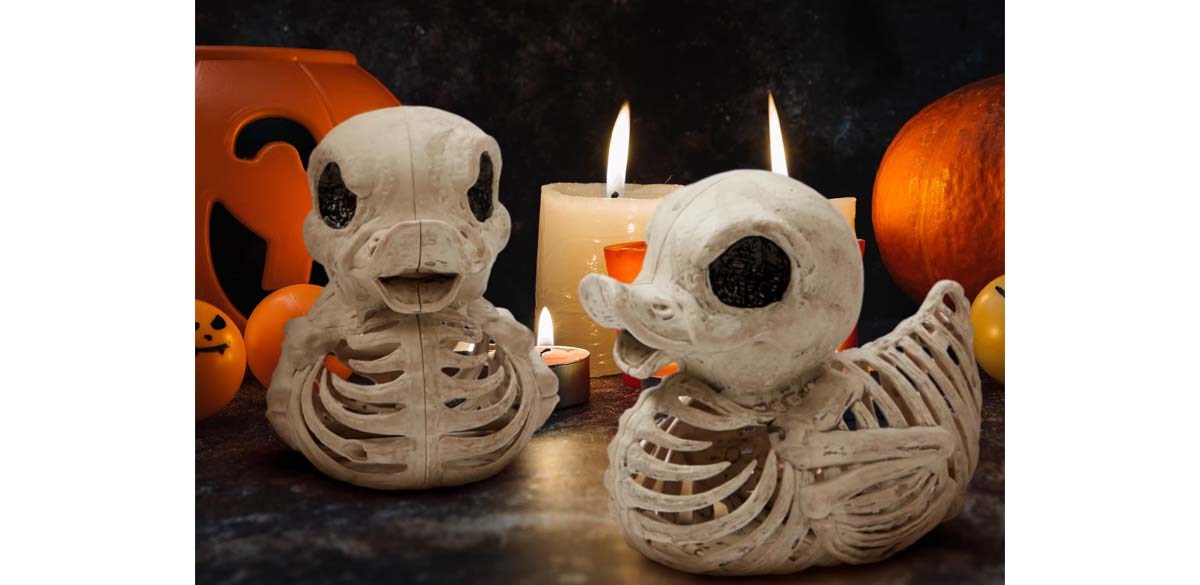 Joyfy 2 Pcs Duck Skeleton