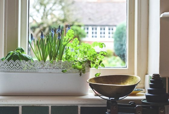 Best window planter box