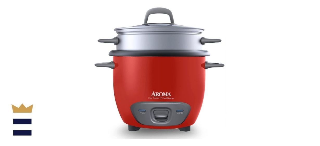 Aroma Steamer