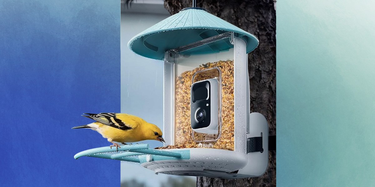 NETVUE by Birdfy Smart Bird Feeder