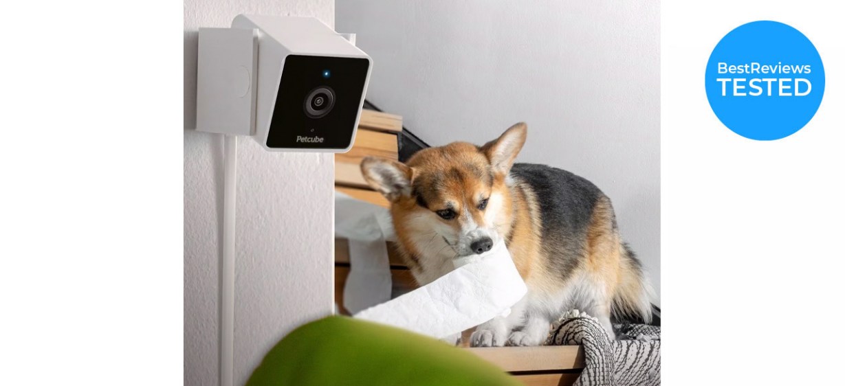 Petcube Cam HD Pet Camera