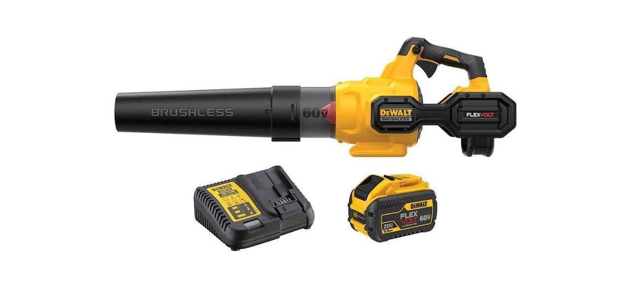 Best DeWalt leaf blower for spring yard cleanup