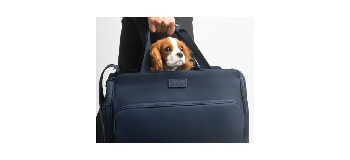 https://cdn15.bestreviews.com/images/v4desktop/image-full-page-cb/best-diggs-dog-supplies-passenger-travel-carrier.jpg?p=w1228